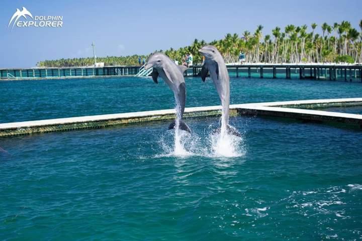 Caribbean And Sun Punta Cana Exterior photo